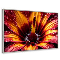 Cuadros Decorativos Canvas Revolution | Flor Del Misterio | Rectangular | Portada