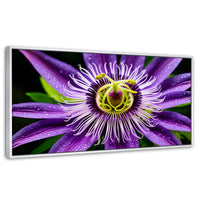 Cuadros Decorativos Canvas Revolution | Flor Pasion Eterna | Panoramico | Portada | Marco Blanco