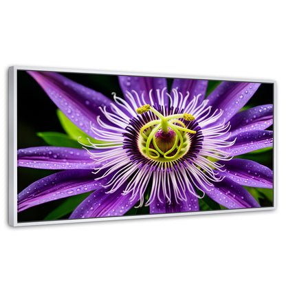 Cuadros Decorativos Canvas Revolution | Flor Pasion Eterna | Panoramico | Portada | Marco Blanco