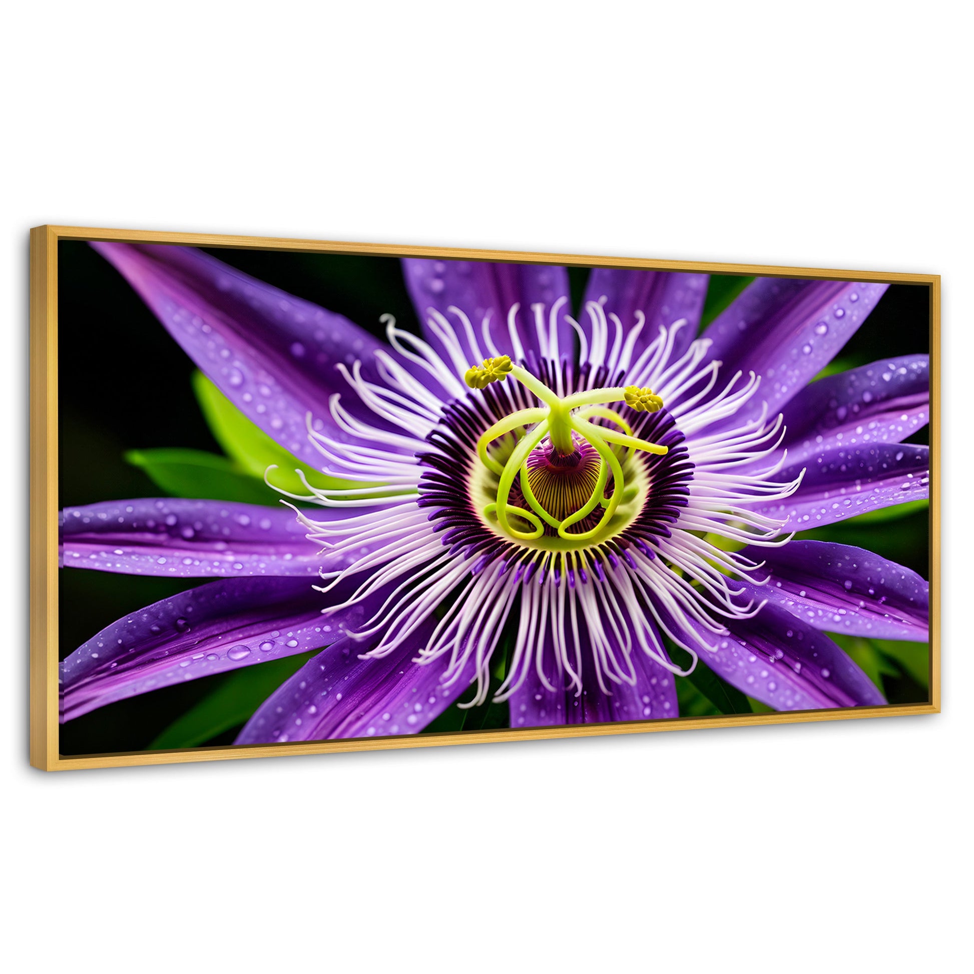 Cuadros Decorativos Canvas Revolution | Flor Pasion Eterna | Panoramico | Portada | Marco Dorado