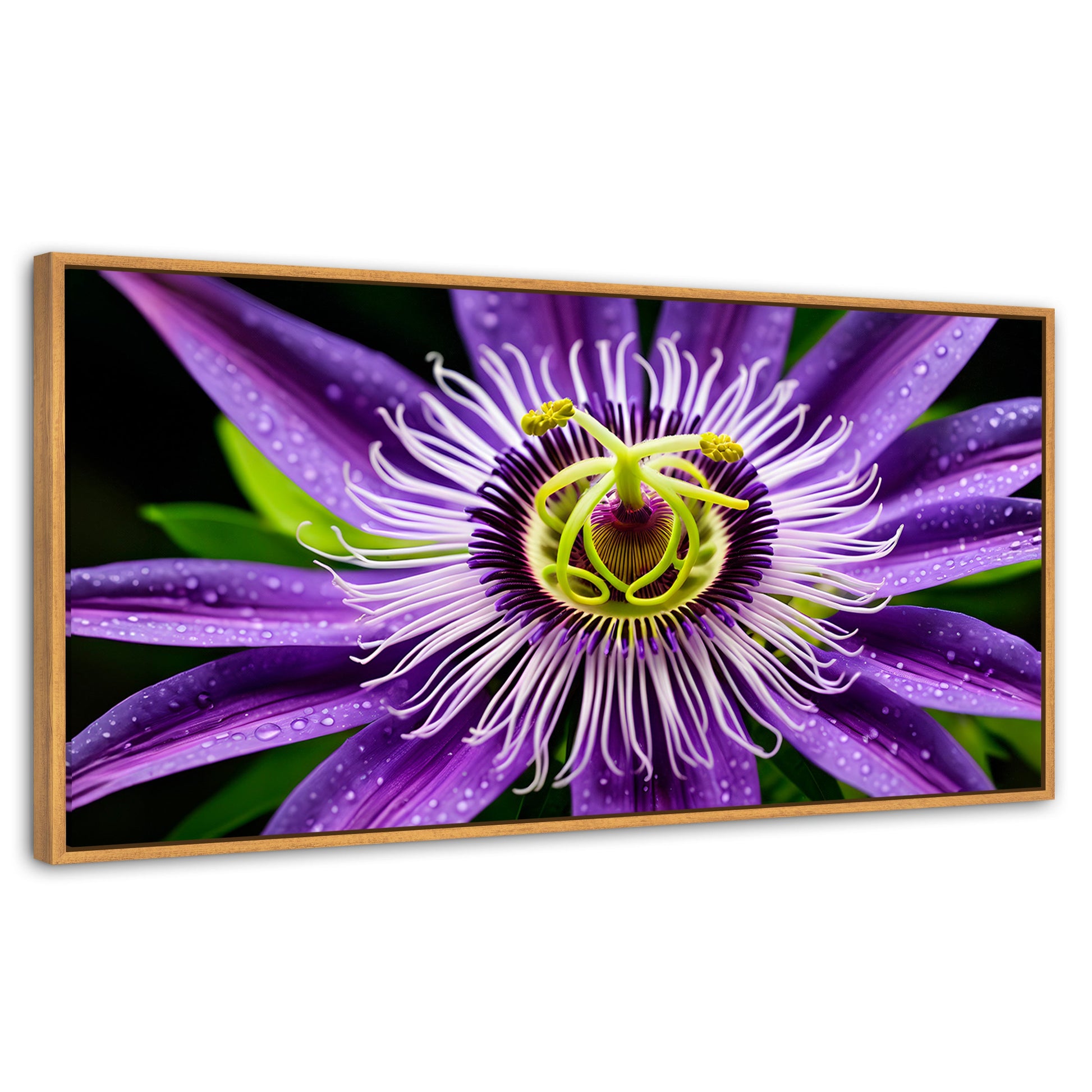 Cuadros Decorativos Canvas Revolution | Flor Pasion Eterna | Panoramico | Portada | Marco Madera