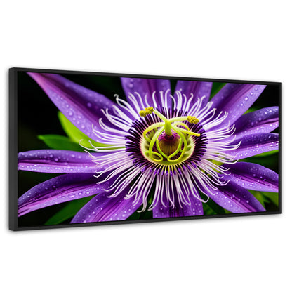 Cuadros Decorativos Canvas Revolution | Flor Pasion Eterna | Panoramico | Portada | Marco Negro