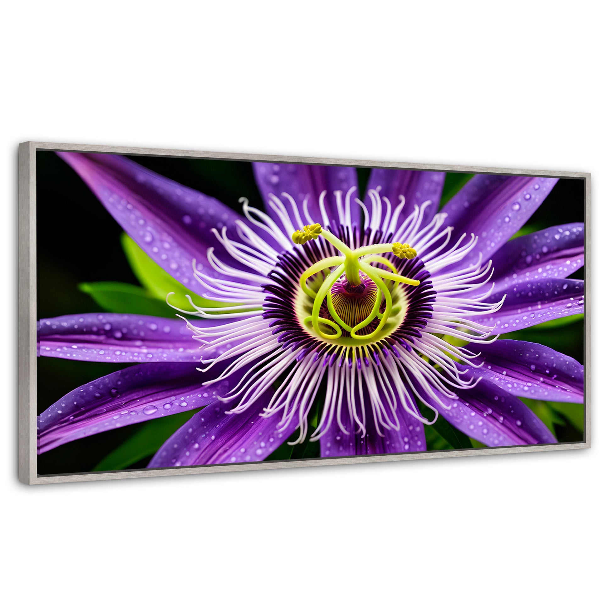 Cuadros Decorativos Canvas Revolution | Flor Pasion Eterna | Panoramico | Portada | Marco Plateado