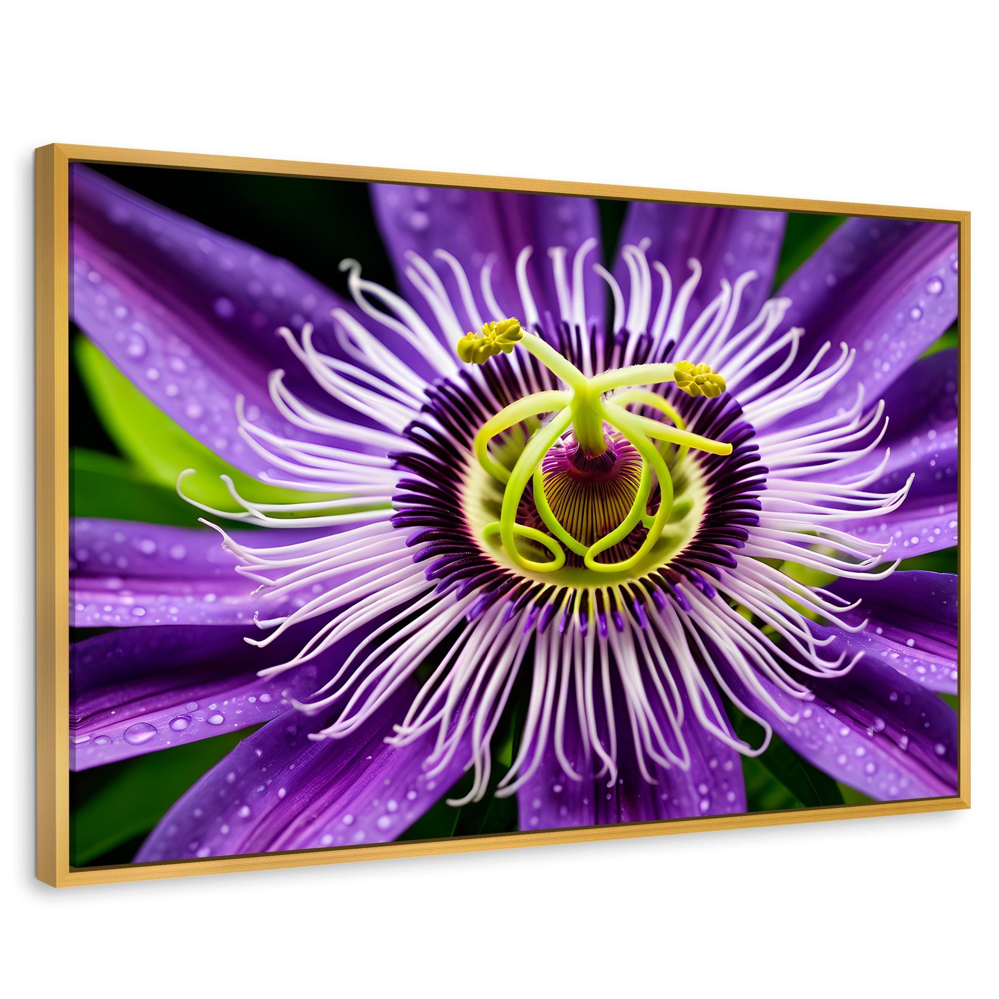 Cuadros Decorativos Canvas Revolution | Flor Pasion Eterna | Rectangular | Portada | Marco Dorado