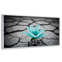 Cuadros Decorativos Canvas Revolution | Flor Sobre Piedra | Panoramico | Portada | Marco Dorado