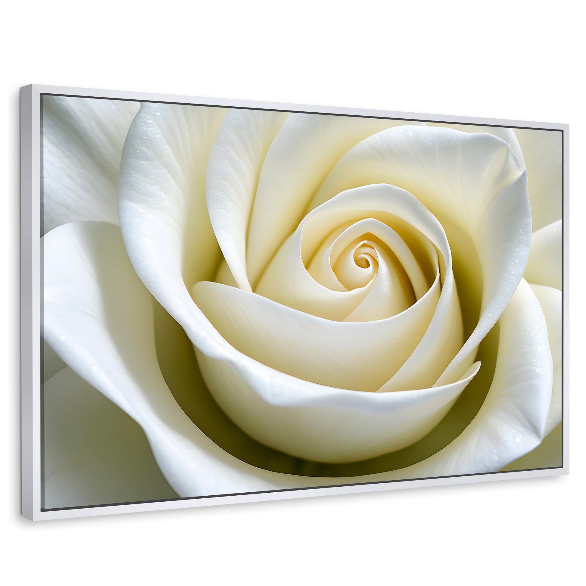 Cuadros Decorativos Canvas Revolution | Gardenia Divina | Rectangular | Portada | Marco Blanco