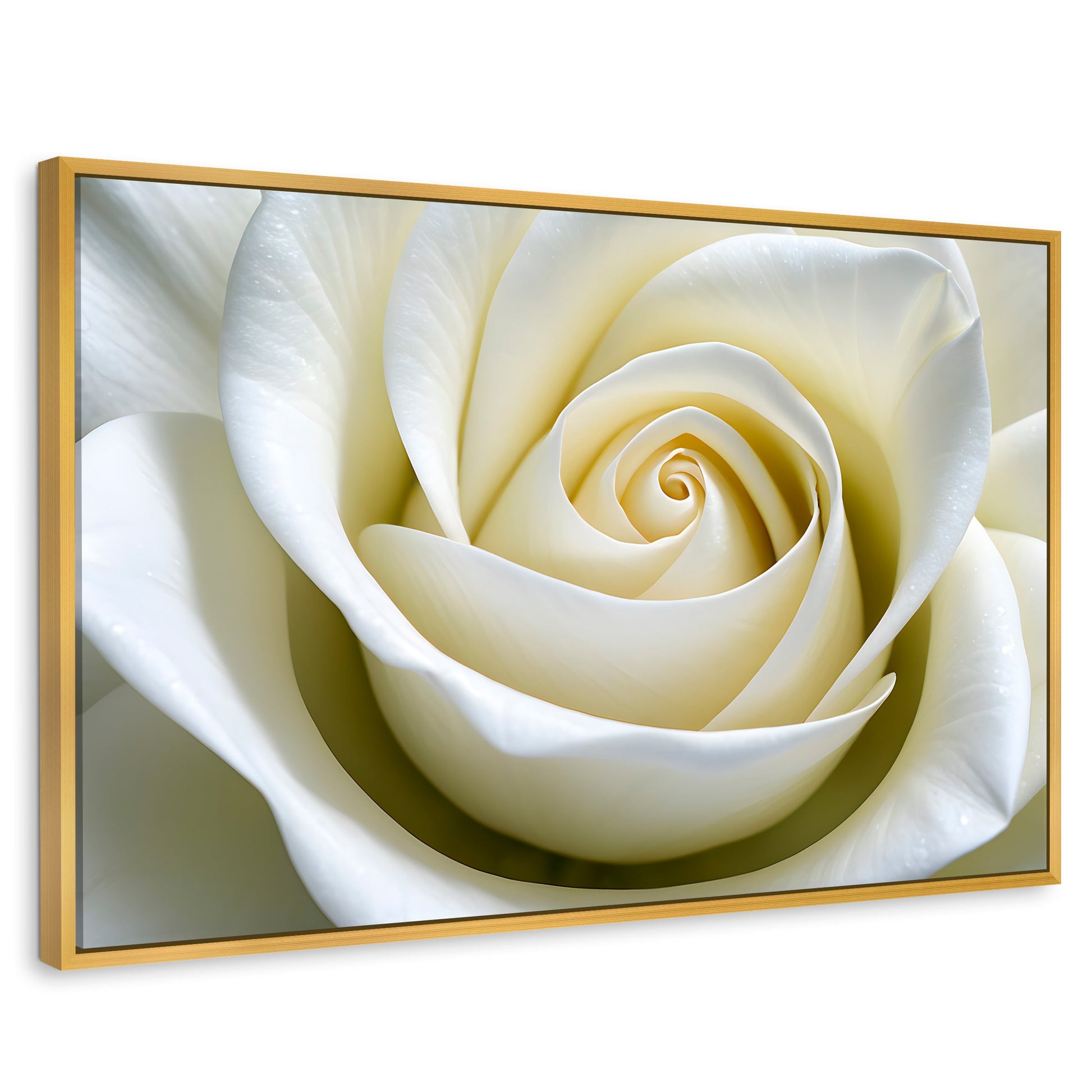 Cuadros Decorativos Canvas Revolution | Gardenia Divina | Rectangular | Portada | Marco Dorado