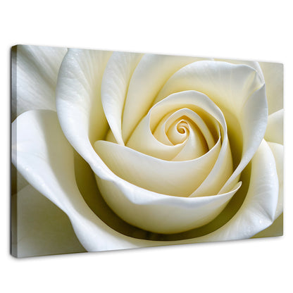 Cuadros Decorativos Canvas Revolution | Gardenia Divina | Rectangular | Portada | Marco SinMarco