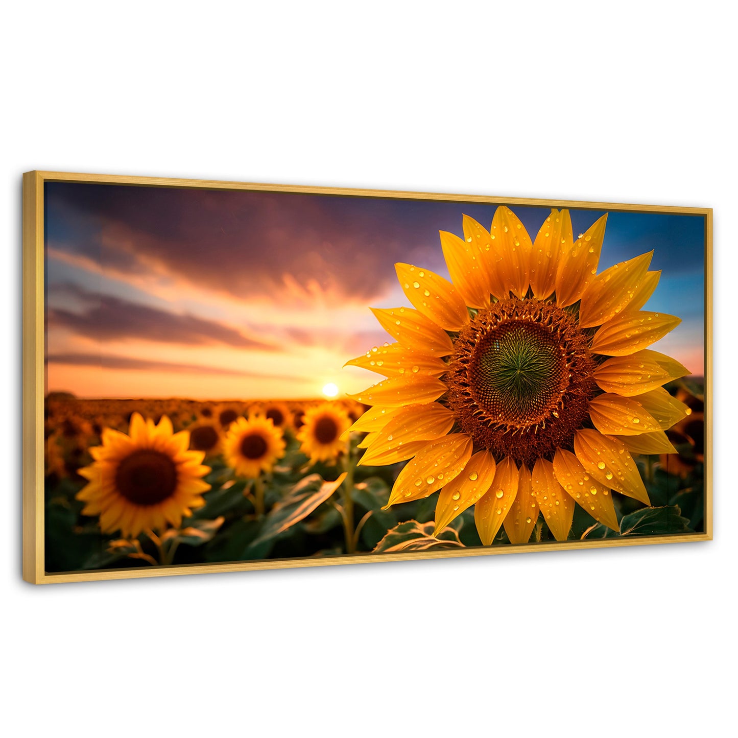 Cuadros Decorativos Canvas Revolution | Girasol Atardecer | Panoramico | Portada | Marco Dorado