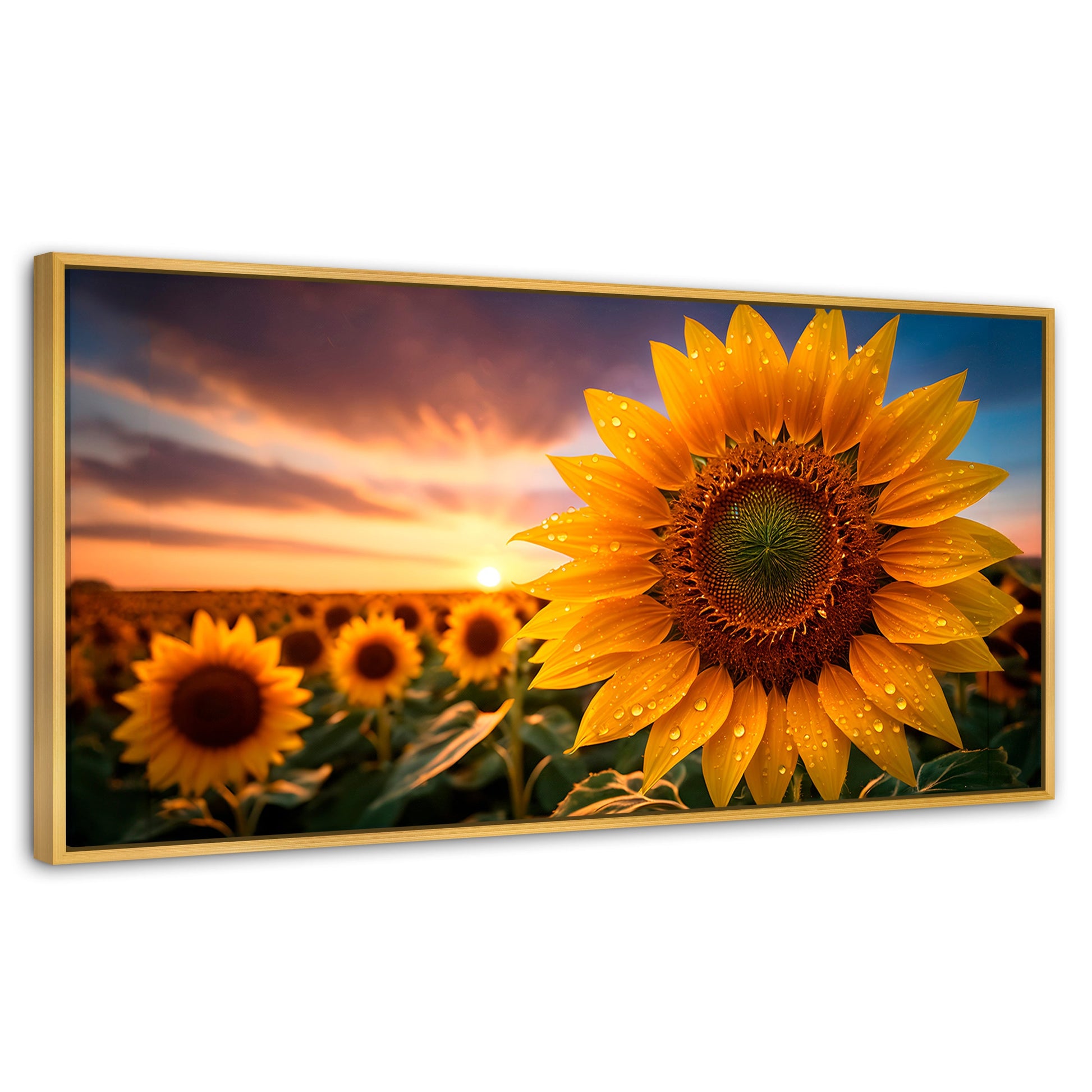 Cuadros Decorativos Canvas Revolution | Girasol Atardecer | Panoramico | Portada | Marco Dorado