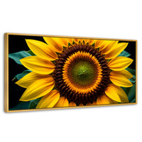 Cuadros Decorativos Canvas Revolution | Girasol Cercano | Panoramico | Portada | Marco Dorado