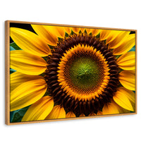 Cuadros Decorativos Canvas Revolution | Girasol Cercano | Rectangular | Portada | Marco Madera