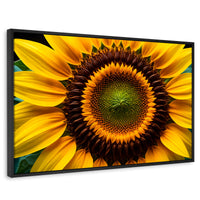 Cuadros Decorativos Canvas Revolution | Girasol Cercano | Rectangular | Portada | Marco Negro
