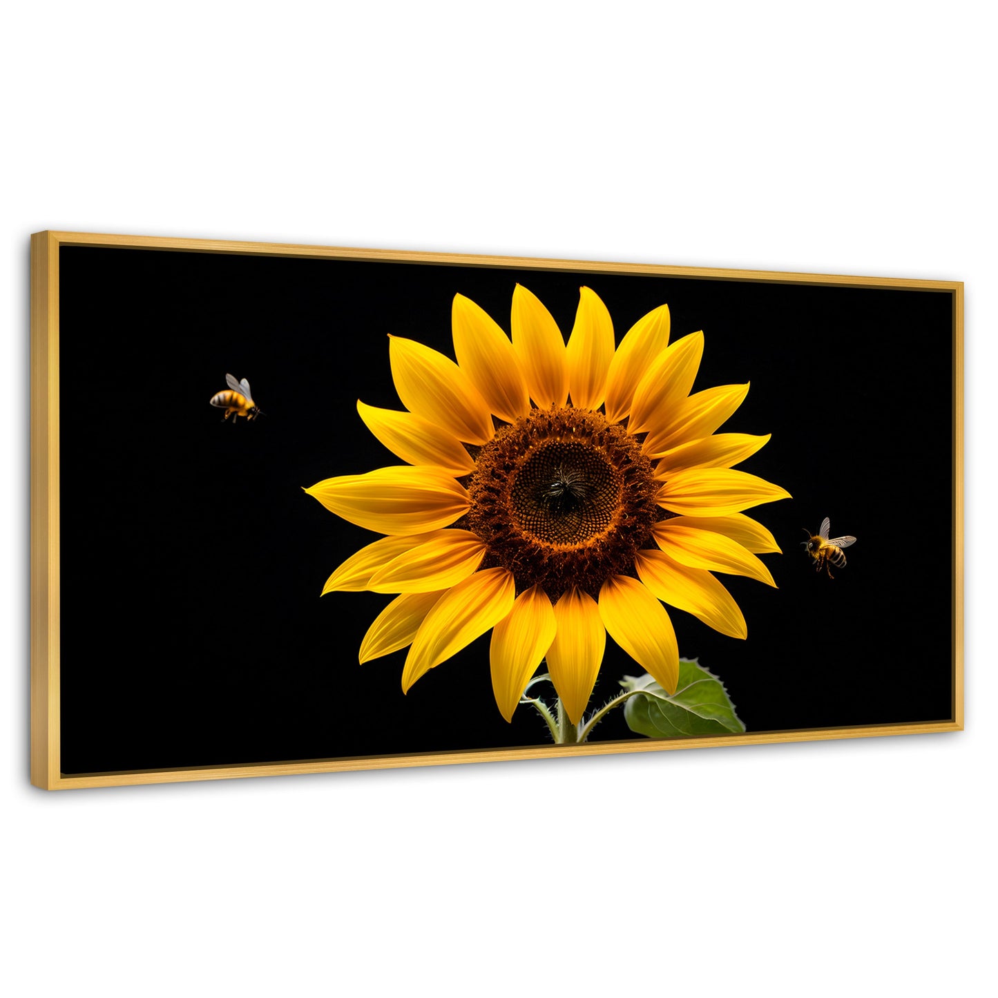 Cuadros Decorativos Canvas Revolution | Girasol En Vuelo | Panoramico | Portada | Marco Dorado