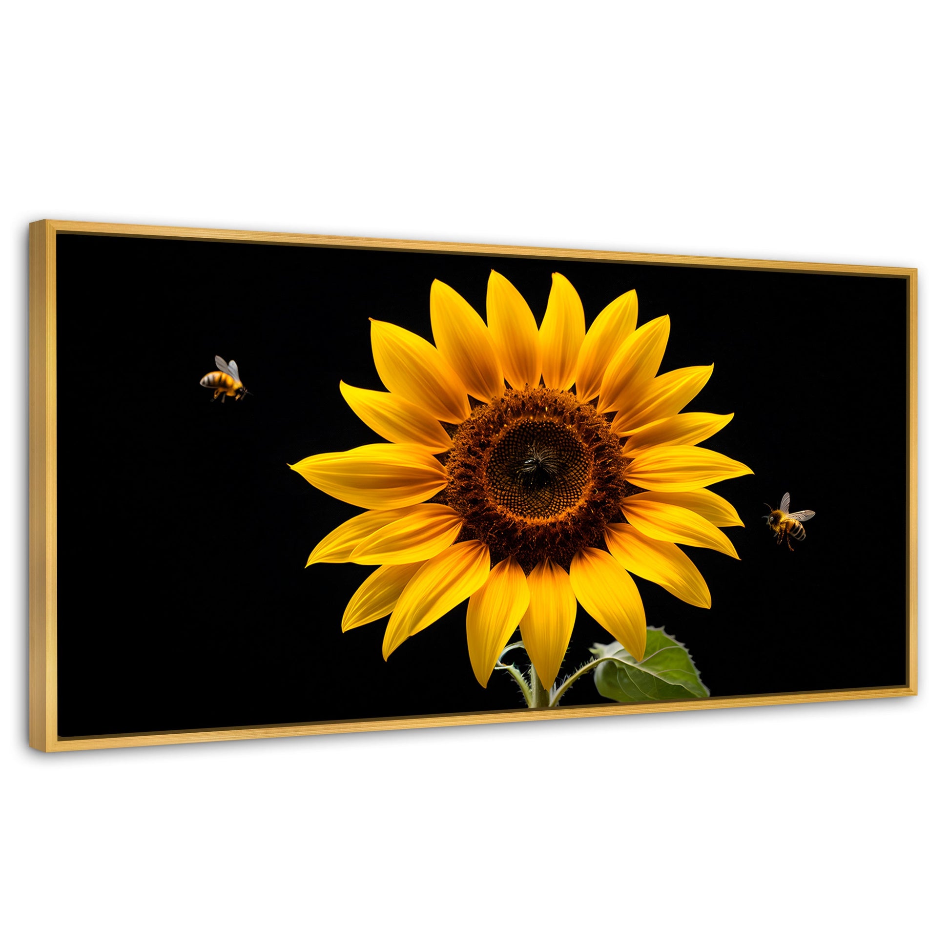 Cuadros Decorativos Canvas Revolution | Girasol En Vuelo | Panoramico | Portada | Marco Dorado