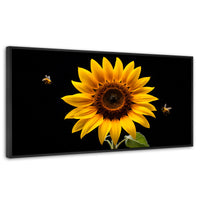 Cuadros Decorativos Canvas Revolution | Girasol En Vuelo | Panoramico | Portada | Marco Negro