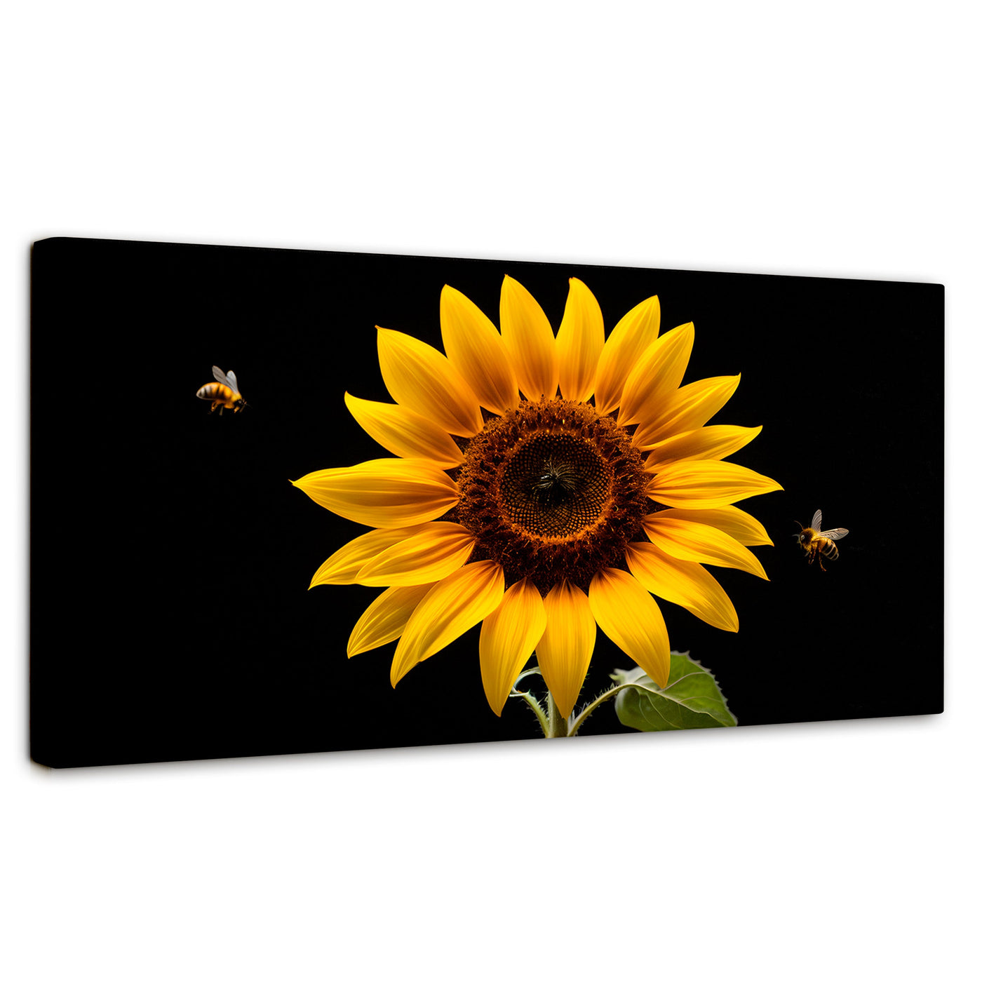 Cuadros Decorativos Canvas Revolution | Girasol En Vuelo | Panoramico | Portada | Marco SinMarco