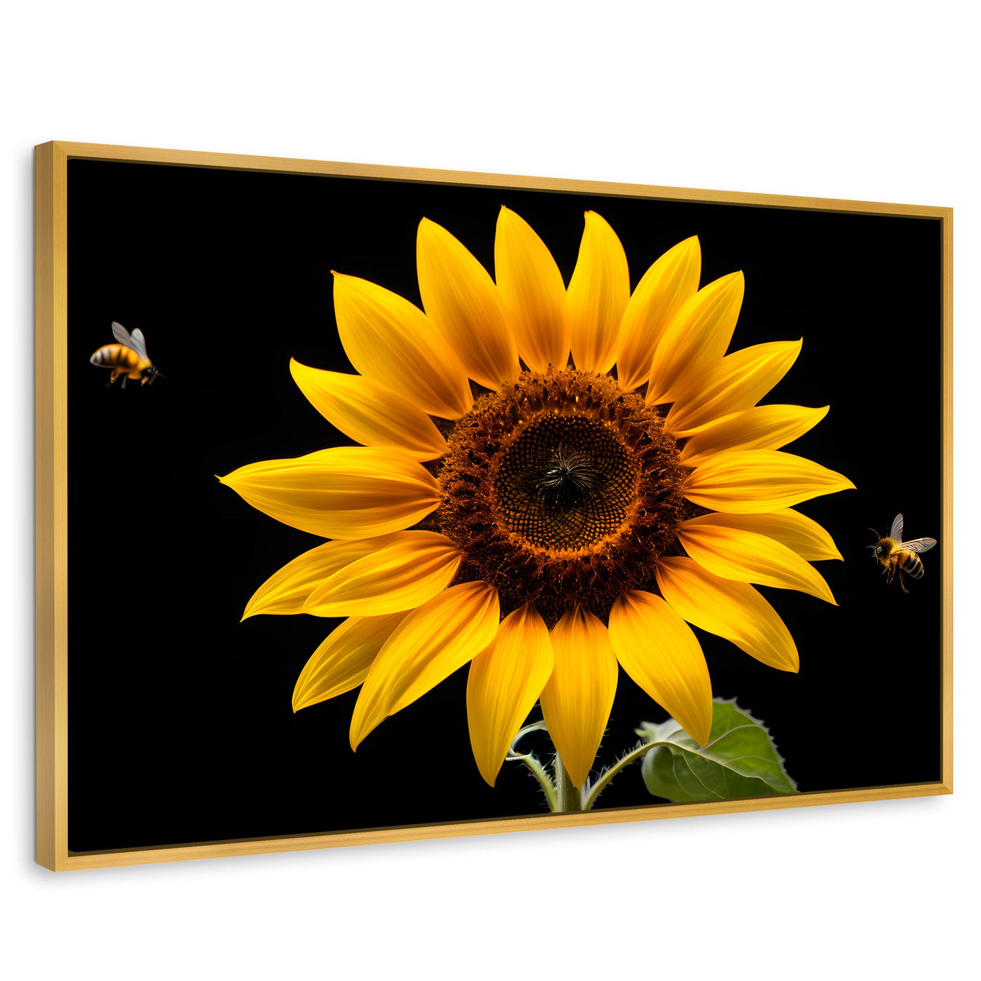 Cuadros Decorativos Canvas Revolution | Girasol En Vuelo | Rectangular | Portada | Marco Dorado