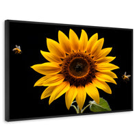 Cuadros Decorativos Canvas Revolution | Girasol En Vuelo | Rectangular | Portada | Marco Negro