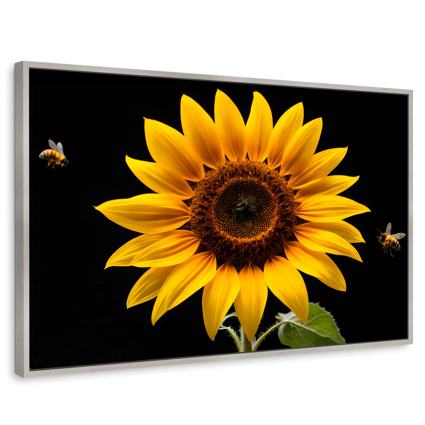 Cuadros Decorativos Canvas Revolution | Girasol En Vuelo | Rectangular | Portada | Marco Plateado