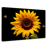 Cuadros Decorativos Canvas Revolution | Girasol En Vuelo | Rectangular | Portada | Marco SinMarco