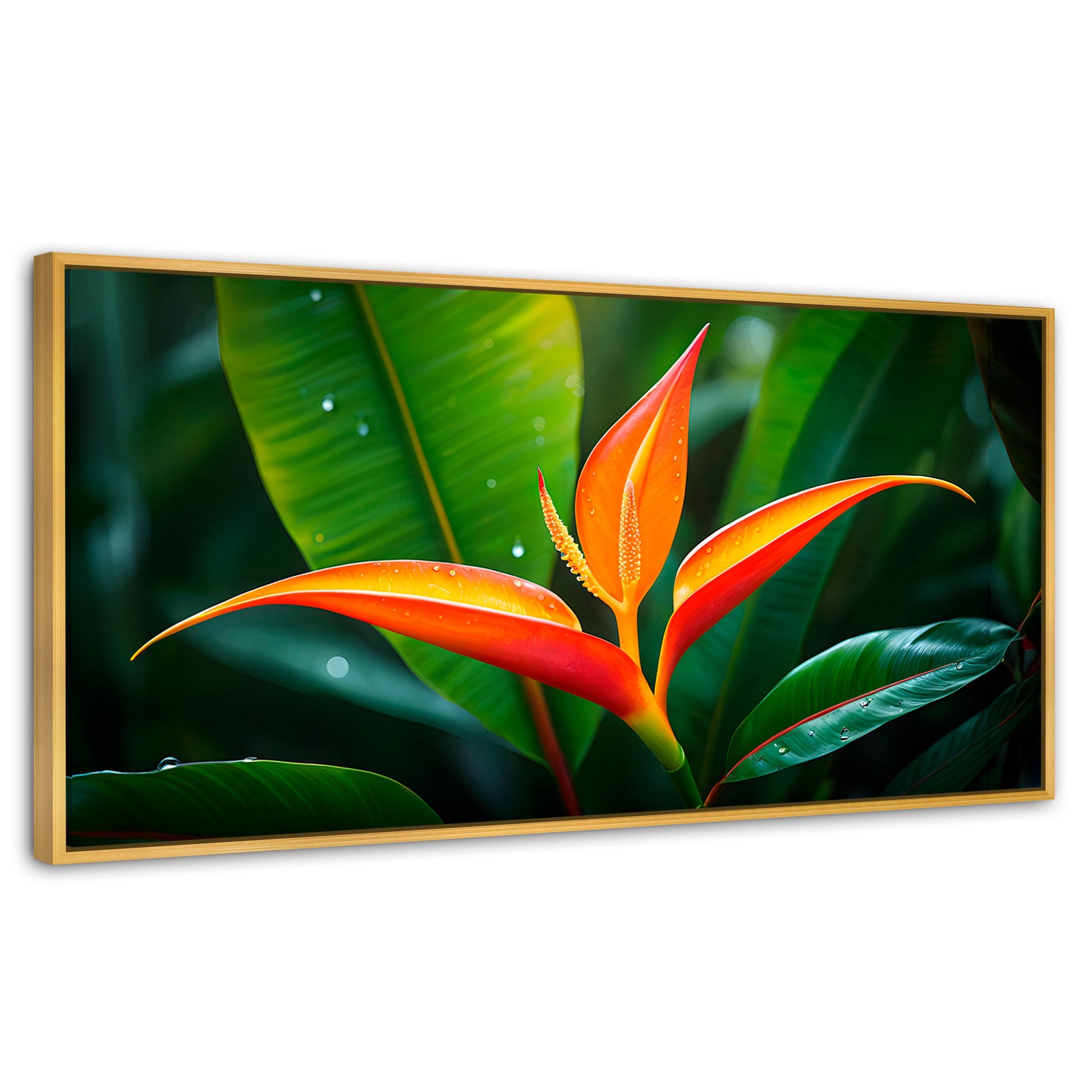 Cuadros Decorativos Canvas Revolution | Heliconia Pura Vida | Panoramico | Portada