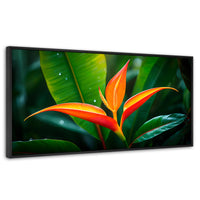 Cuadros Decorativos Canvas Revolution | Heliconia Pura Vida | Panoramico | Portada