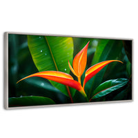 Cuadros Decorativos Canvas Revolution | Heliconia Pura Vida | Panoramico | Portada