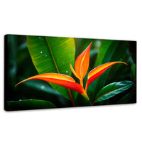 Cuadros Decorativos Canvas Revolution | Heliconia Pura Vida | Panoramico | Portada