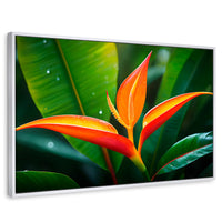 Cuadros Decorativos Canvas Revolution | Heliconia Pura Vida | Rectangular | Portada
