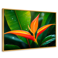 Cuadros Decorativos Canvas Revolution | Heliconia Pura Vida | Rectangular | Portada