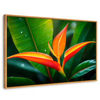 Cuadros Decorativos Canvas Revolution | Heliconia Pura Vida | Rectangular | Portada