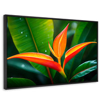 Cuadros Decorativos Canvas Revolution | Heliconia Pura Vida | Rectangular | Portada