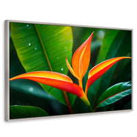Cuadros Decorativos Canvas Revolution | Heliconia Pura Vida | Rectangular | Portada