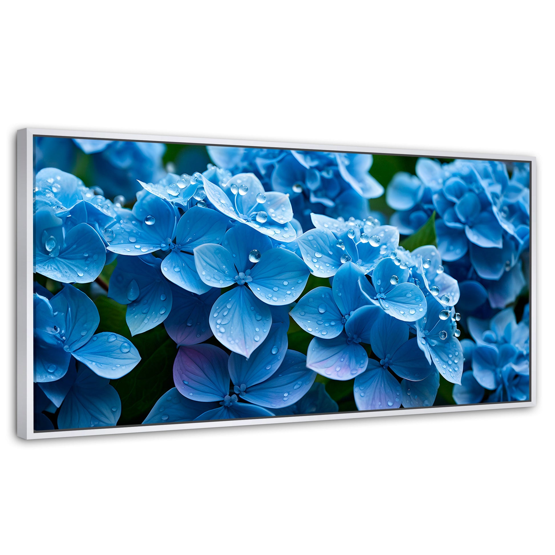 Cuadros Decorativos Canvas Revolution | Hortensia Azulada | Panoramico | Portada | Marco Blanco