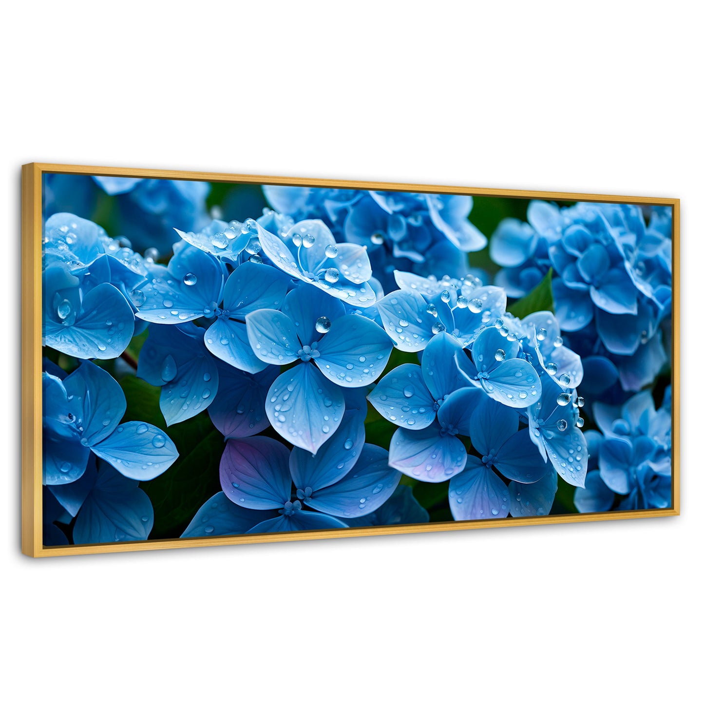 Cuadros Decorativos Canvas Revolution | Hortensia Azulada | Panoramico | Portada | Marco Dorado