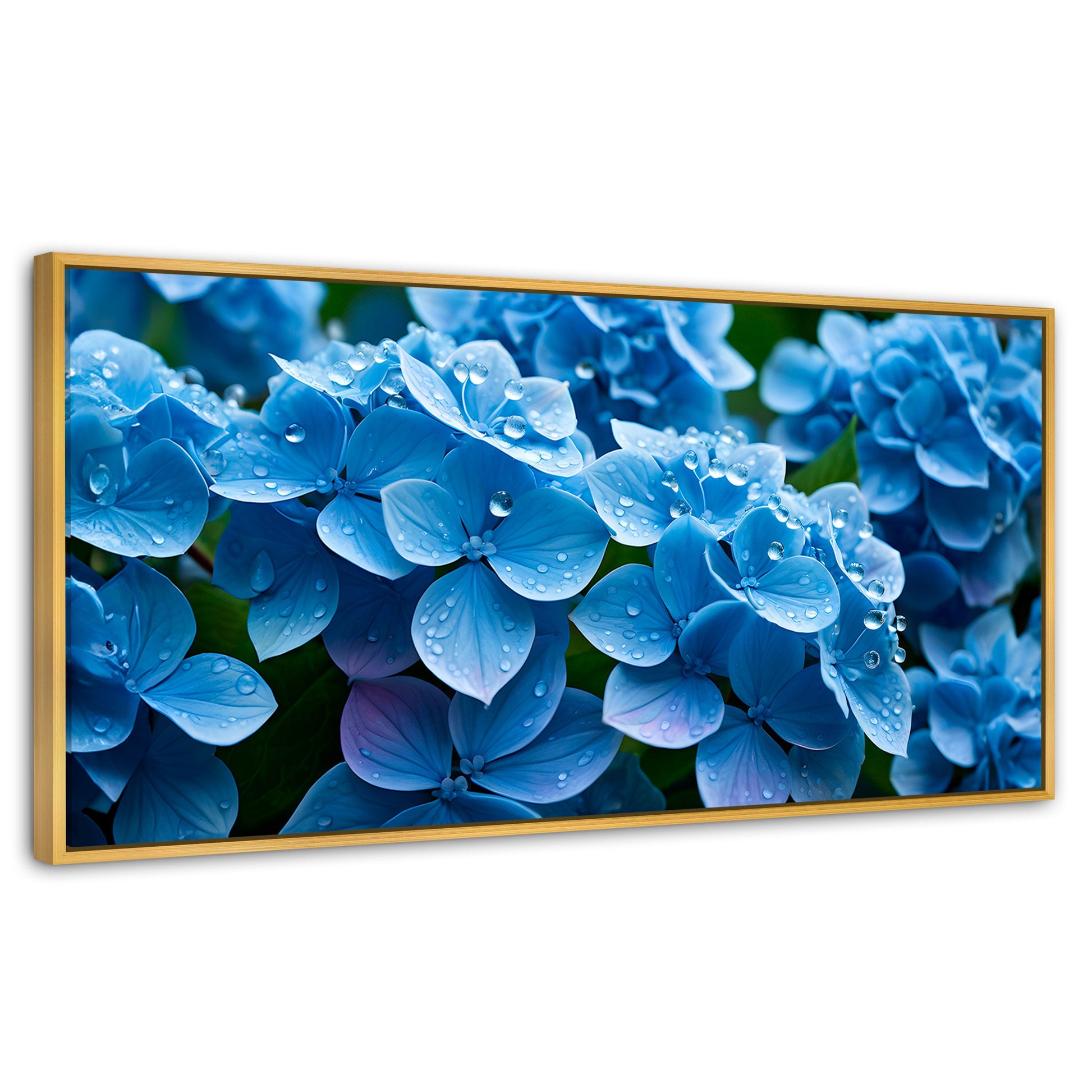 Cuadros Decorativos Canvas Revolution | Hortensia Azulada | Panoramico | Portada | Marco Dorado
