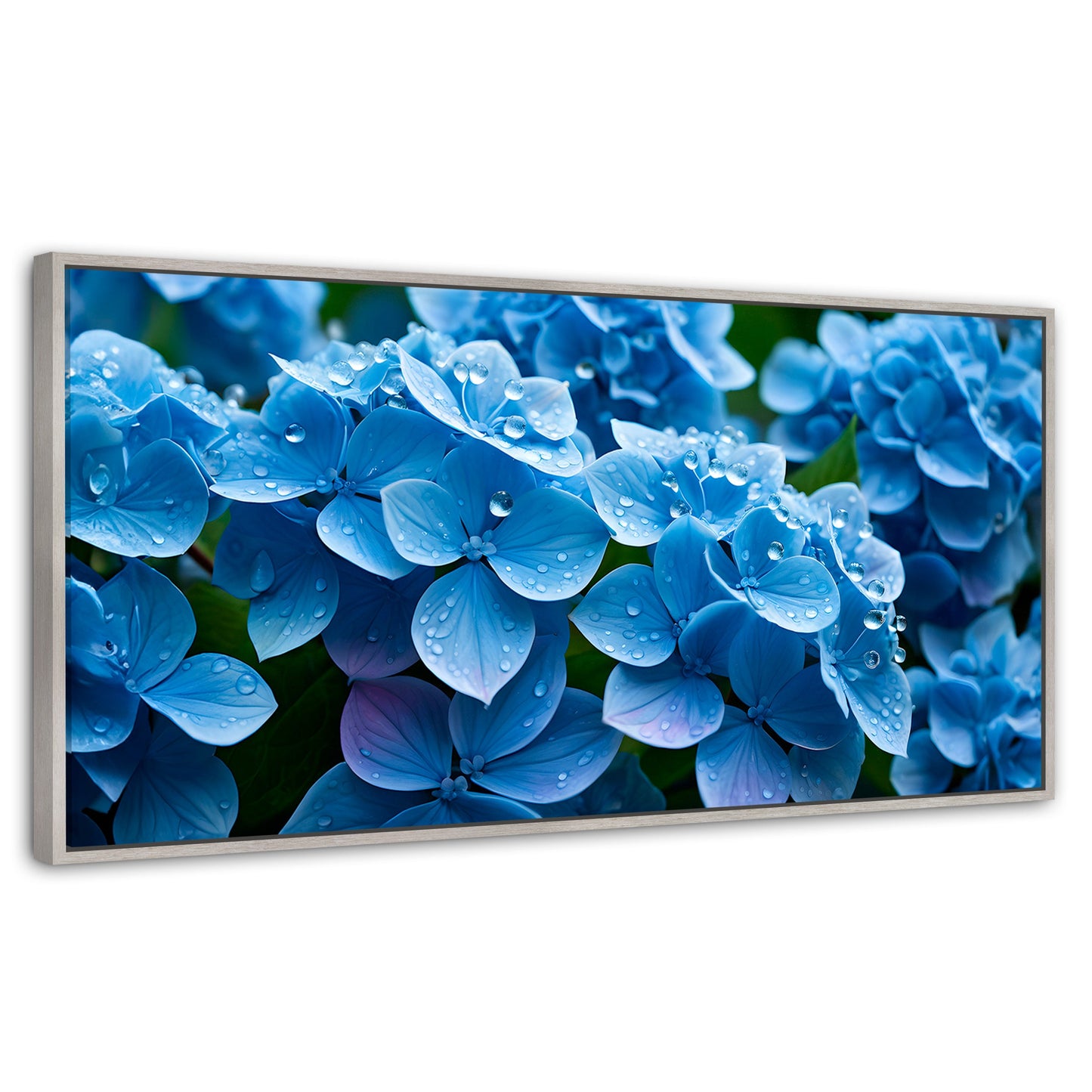 Cuadros Decorativos Canvas Revolution | Hortensia Azulada | Panoramico | Portada | Marco Plateado