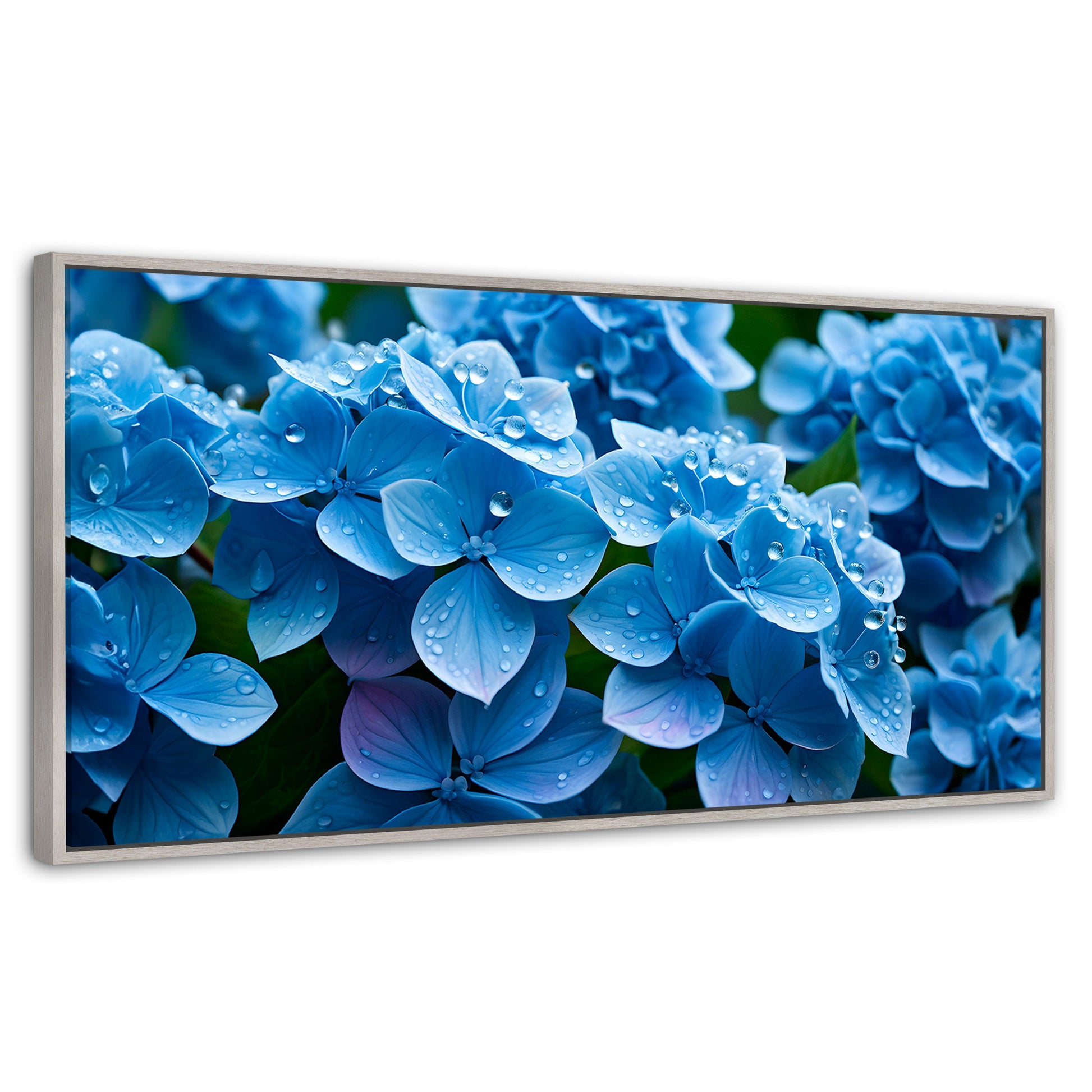Cuadros Decorativos Canvas Revolution | Hortensia Azulada | Panoramico | Portada | Marco Plateado