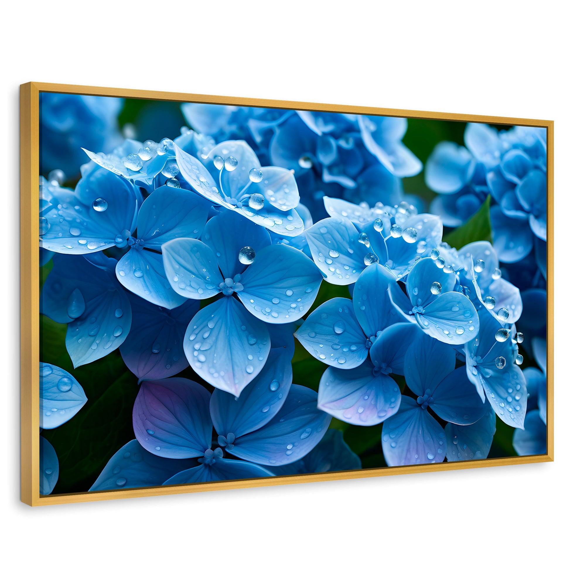 Cuadros Decorativos Canvas Revolution | Hortensia Azulada | Rectangular | Portada | Marco Dorado