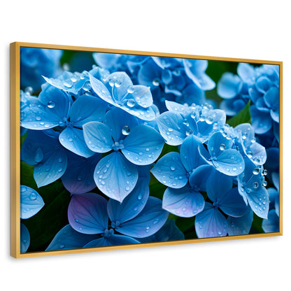 Cuadros Decorativos Canvas Revolution | Hortensia Azulada | Rectangular | Portada | Marco Dorado