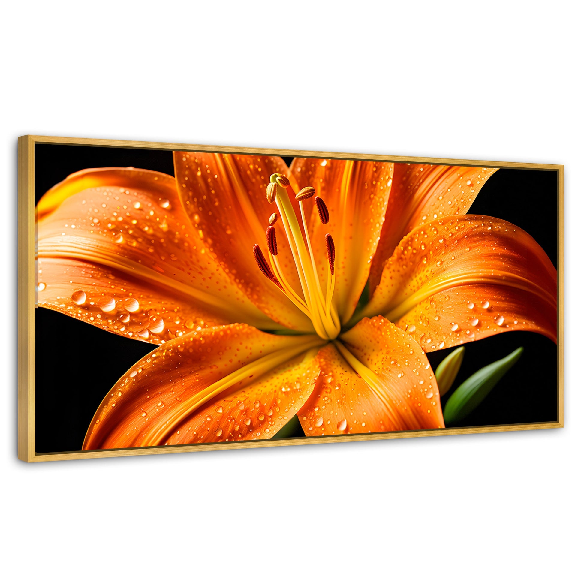 Cuadros Decorativos Canvas Revolution | Llama Lirio Macro | Panoramico | Portada | Marco Dorado