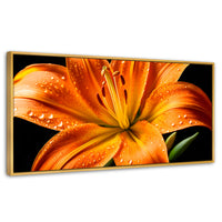 Cuadros Decorativos Canvas Revolution | Llama Lirio Macro | Panoramico | Portada | Marco Dorado