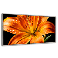 Cuadros Decorativos Canvas Revolution | Llama Lirio Macro | Panoramico | Portada | Marco Plateado