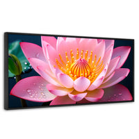 Cuadros Decorativos Canvas Revolution | Loto Dual Radiante | Panoramico | Portada | Marco Negro
