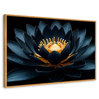 Cuadros Decorativos Canvas Revolution | Loto En Sombra | Rectangular | Portada | Marco Madera