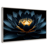 Cuadros Decorativos Canvas Revolution | Loto En Sombra | Rectangular | Portada | Marco Plateado