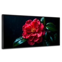 Cuadros Decorativos Canvas Revolution | Magia De Camelia | Panoramico | Portada