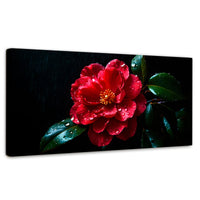 Cuadros Decorativos Canvas Revolution | Magia De Camelia | Panoramico | Portada