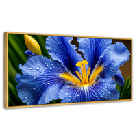 Cuadros Decorativos Canvas Revolution | Magia Flor Iris | Panoramico | Portada | Marco Dorado